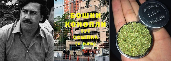 гидропоника Балабаново