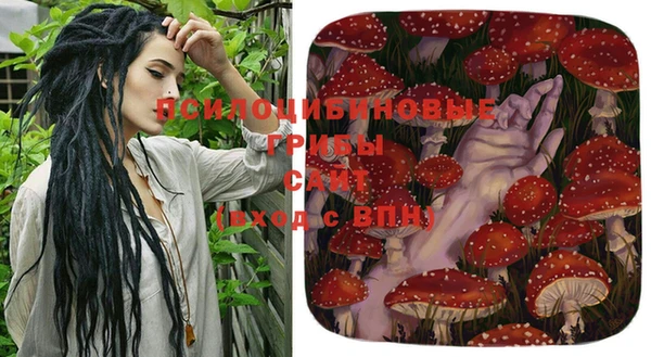 mdpv Балахна