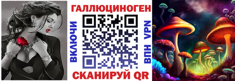 shop клад  как найти закладки  Ленинск  Галлюциногенные грибы мицелий 