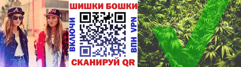 Бошки Шишки гибрид  Ленинск 